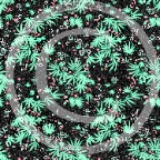 CannabisConfettiBlackT©.jpg
